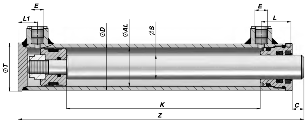 Standardowy siłownik hydrauliczny dwustronnego działania Contarini HM0LM, wytrzymały komponent do hydrauliki przemysłowej.